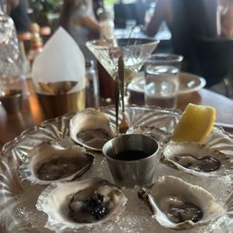 Oysters Oysters