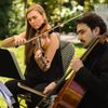 Puget Sound Strings gift card