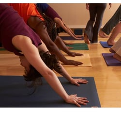 Shambhala Yoga & Dance Center