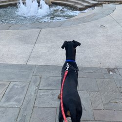 Emery Barnes Park