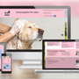 Photo of Chavez Web Design