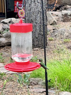 The Arboretum at Flagstaff by null