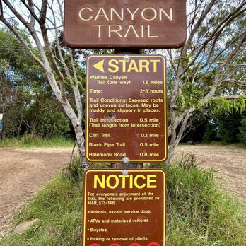 Puu Hinahina Lookout - Pu'u Hinahina Lookout is the start of Canyon Trail leading to Waipo'o Falls. - Parks Near Me - Waimea, Hawaii Puu Hinahina Lookout - Pu'u Hinahina Lookout is the start of Canyon Trail leading to Waipo'o Falls. - Parks Near Me - Waimea, Hawaii