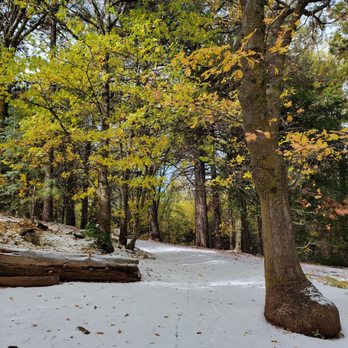 Heaps Peak Arboretum  - Botanical Gardens Near Me - Lake Arrowhead, California