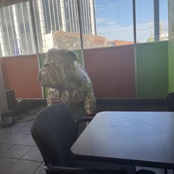 Potato Express - Decor