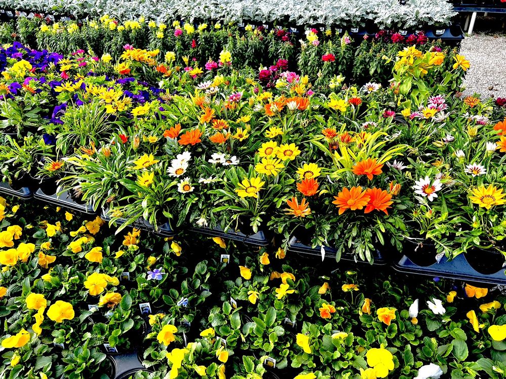 Houston garden center near me