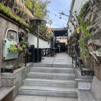 Succulent Coffee - Succulent Coffee  N. Fremont St  Oceanside CA - Coffee & Tea Near Me - Oceanside, California