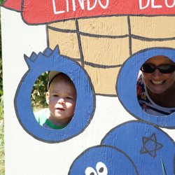 Linbo Blueberry Farm