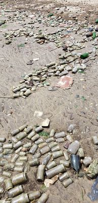 Dead Horse Bay by null