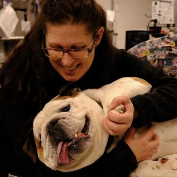 Alta View Veterinary Clinic - Veterinarians Near Me - Milwaukee, Wisconsin