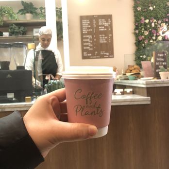 Coffee and Plants - Love the cups and interior - Coffee & Tea Near Me - Pasadena, California