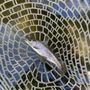 Photo of His and Her Fly Fishing Shop