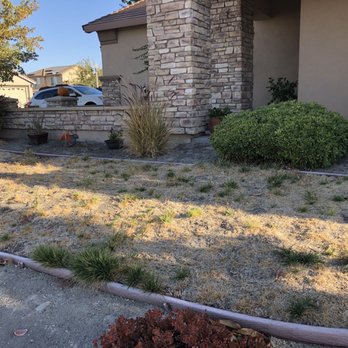 Paradise Landscaping - Yard before Paradise Labdscaping - Landscaping Near Me Paradise Landscaping - Yard before Paradise Labdscaping - Landscaping Near Me
