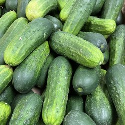 Carmichael's Produce - Pickling cucumbers