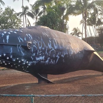 Maui Walking Tours - Walking Tours Near Me Maui Walking Tours - Walking Tours Near Me