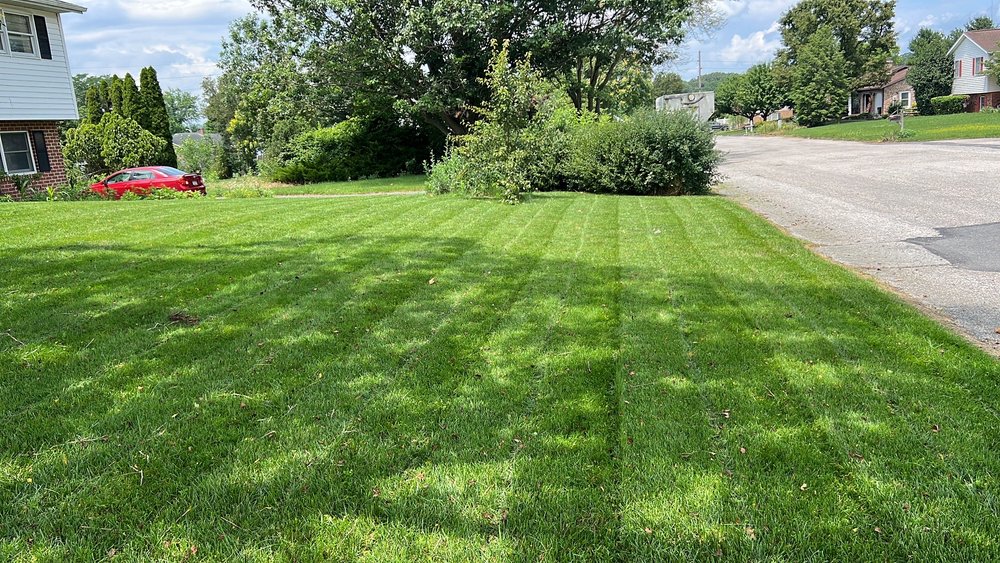 Slide of Naldo’s Handy Services