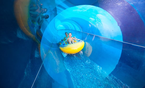 Great Wolf Lodge | Grapevine by null