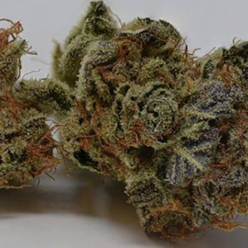 Chronic Therapy - Cannabis Dispensaries Near Me - Wheat Ridge, Colorado Chronic Therapy - Cannabis Dispensaries Near Me - Wheat Ridge, Colorado