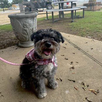 Abe's Bar-B-Q - Olive approved - Barbeque Near Me - Clarksdale, Mississippi Abe's Bar-B-Q - Olive approved - Barbeque Near Me - Clarksdale, Mississippi