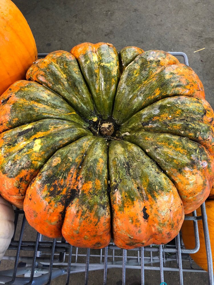 BLOCK’S STAND & GREENHOUSE TEMP. CLOSED 163 Photos & 83 Reviews