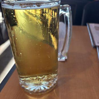 The Tipsy Lion Bar & Grill - Michelob Ultra beer specials - Burgers Near Me - West, Texas