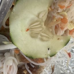 Bug in vermicelli bun noodle Bug in vermicelli bun noodle