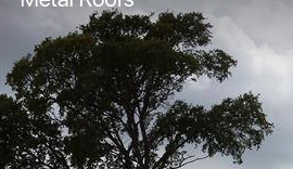 Slide of Paradigm Roofing