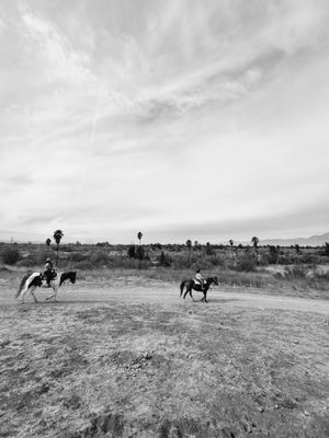 S&D Horseback Riding by null