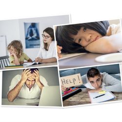 BRAINature Somatic & ADHD Coaching Center - ADHD and Executive Function Coaching for Children, Adults, and Families with ADHD, Autism. Family coaching and career transitions. Balance.