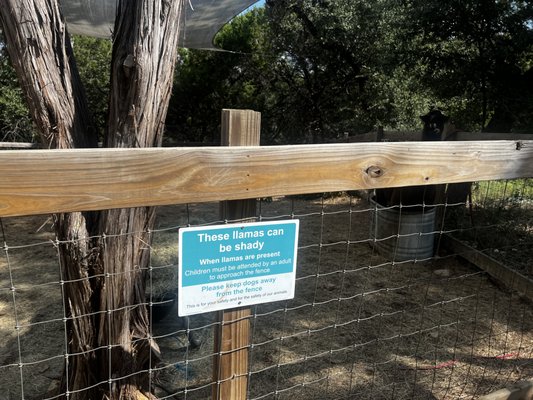 The Shady Llama by null