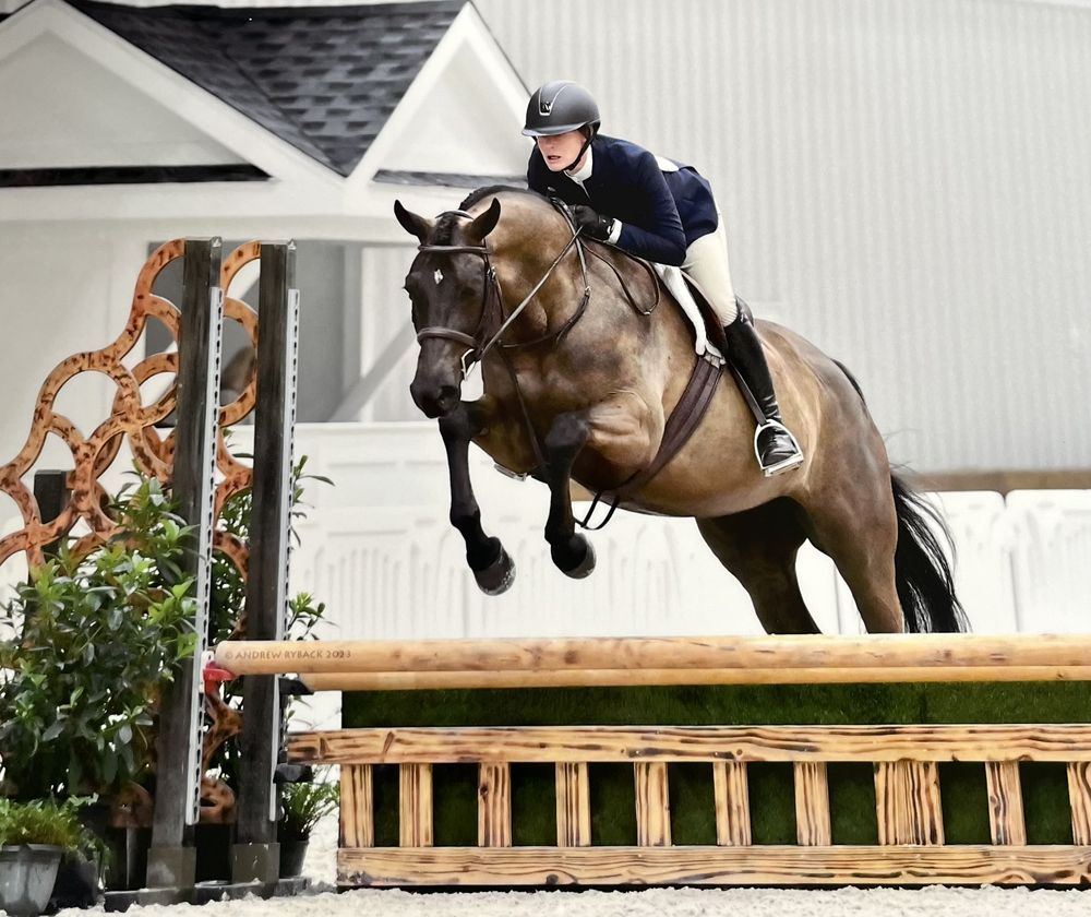 MK SPORTHORSES Request an Appointment 20 Photos 8600 Fort King Rd