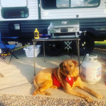 Green Acres RV Park - Yaz - Campgrounds Near Me - Savannah, Tennessee Green Acres RV Park - Yaz - Campgrounds Near Me - Savannah, Tennessee