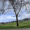 Orange Terrace Park gift card