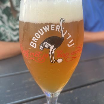 Brouwerij 't IJ - A pint of the blonde - Breweries Near Me - Amsterdam, New Hampshire Brouwerij 't IJ - A pint of the blonde - Breweries Near Me - Amsterdam, New Hampshire