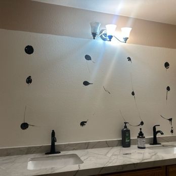 Aust Fabrication - 84x48" mirror Dustin said can be replaced for $200.00  if anyone can find it for that price please let me know. - Countertop Installation Near Me - Fresno, California