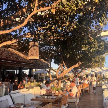 Watr at the 1 Rooftop - Rooftop - Japanese Near Me - Miami Beach, Florida Watr at the 1 Rooftop - Rooftop - Japanese Near Me - Miami Beach, Florida