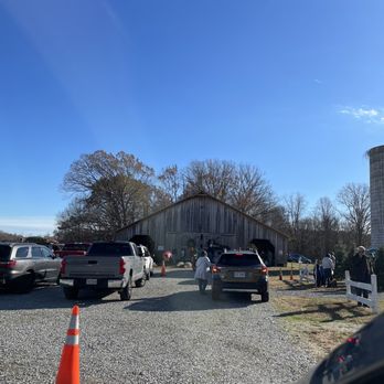Claybrooke Farms - The area to have your tree loaded. They shake the trees to get rid of loose needles, bale them and secure them on the roof of your car. - Christmas Trees Near Me - Mineral, Virginia Claybrooke Farms - The area to have your tree loaded. They shake the trees to get rid of loose needles, bale them and secure them on the roof of your car. - Christmas Trees Near Me - Mineral, Virginia