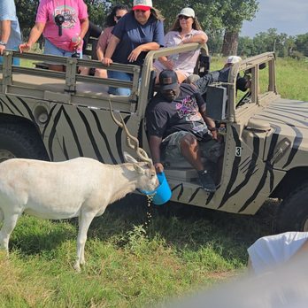 Moon River Ranch - You get a bucket of corn feed to feed the animals - Venues & Event Spaces Near Me - Satin, Texas Moon River Ranch - You get a bucket of corn feed to feed the animals - Venues & Event Spaces Near Me - Satin, Texas