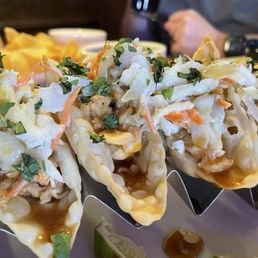 Chicken Wontons - A plate of chicken wontons garnished with chopped herbs and drizzled with sauce, served at a dining establishment.