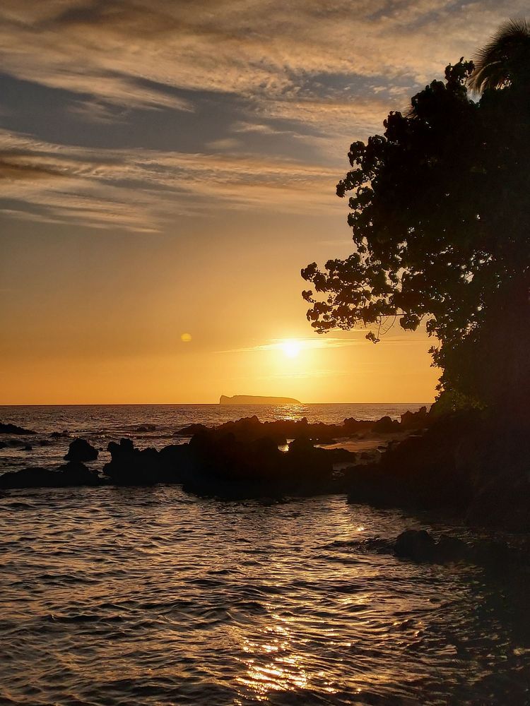 Paako Cove aka Secret Cove aka Makena Cove Logo