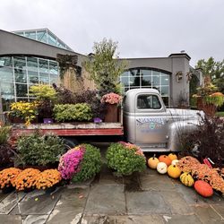 Lanoha Nurseries - Outdoor photo op