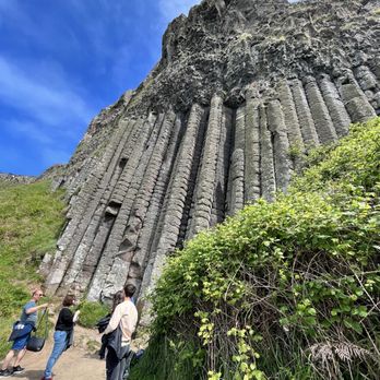 Wild Rover Tours - Giant's Causeway Coast - Tours Near Me - Dublin, D