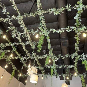 Julie’s Noodle - Lovely ceiling! - Noodles Near Me - Fremont, California Julie’s Noodle - Lovely ceiling! - Noodles Near Me - Fremont, California