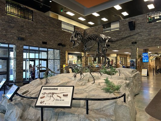 Mountain America Museum of Ancient Life at Thanksgiving Point by null