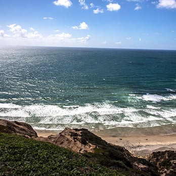 Scripps Coastal Reserve - Parks Near Me - San Diego, California
