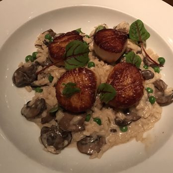 Vivace - Scallop mushroom risotto - Italian Near Me - Raleigh, North Carolina Vivace - Scallop mushroom risotto - Italian Near Me - Raleigh, North Carolina
