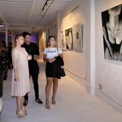 Art Galori the Gallery