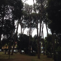 Pineta Monumentale di Fregene