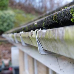 Grant Roofing & Pressure Washing - Gutter cleaning is a necessity in the Pacific Northwest at least once or twice a year. Failing to clean your gutters will le...