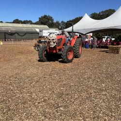 Pumpkin Patch at Webb Ranch